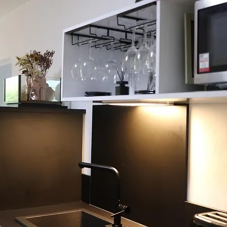 Appartement Haus 16 Zwischen Salzburg Chiemsee Und Waging Am